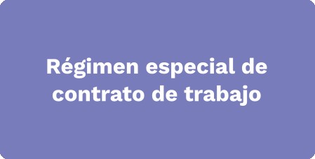 Régimen especial de contrato de trabajo